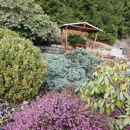 Waldgasthof Lorchenmuehle Ug Guest house